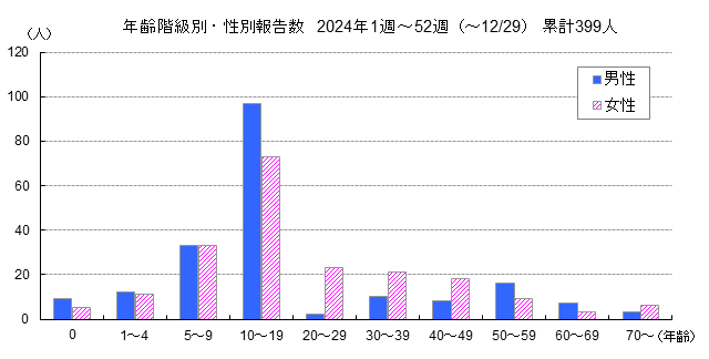 画像の説明