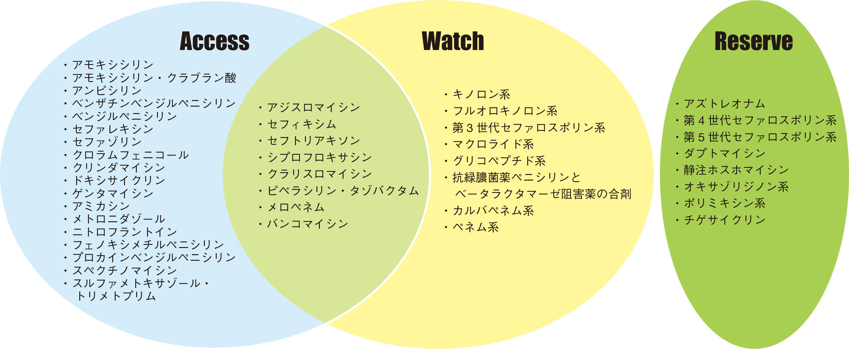 画像の説明