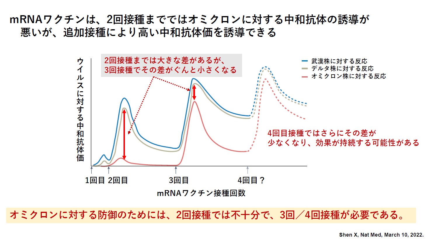 画像の説明