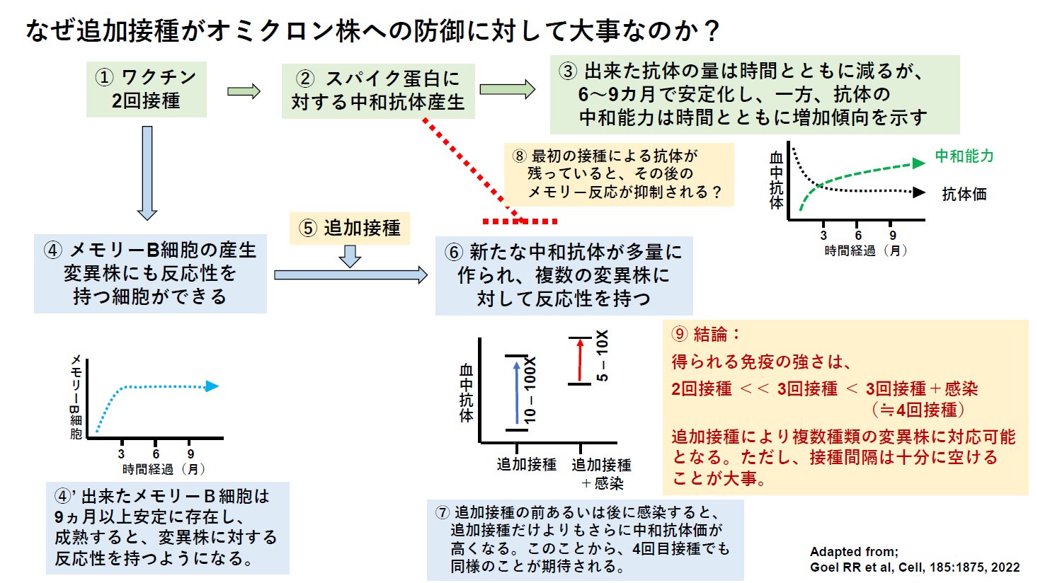 画像の説明